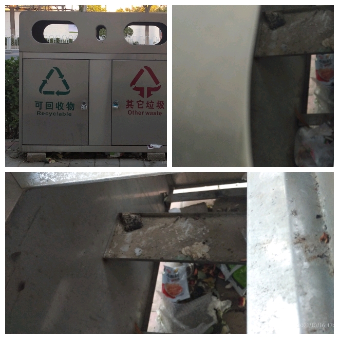 【曝光台2 此片请发大些 标题】垃圾箱徒(1566801)-20211102115015.jpg