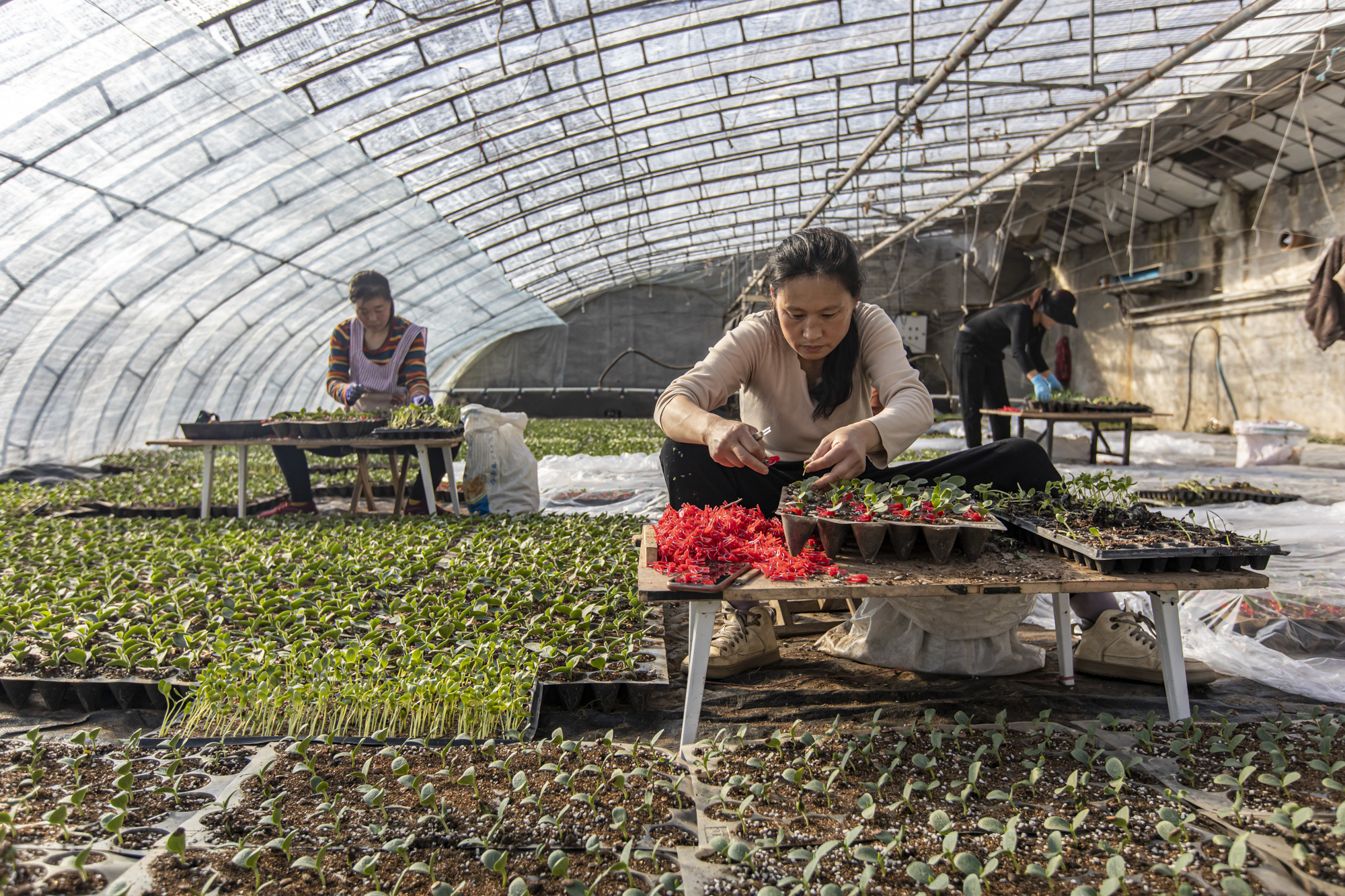 微信图片_20220205191053.jpg 微信图片_20220205191053.jpg