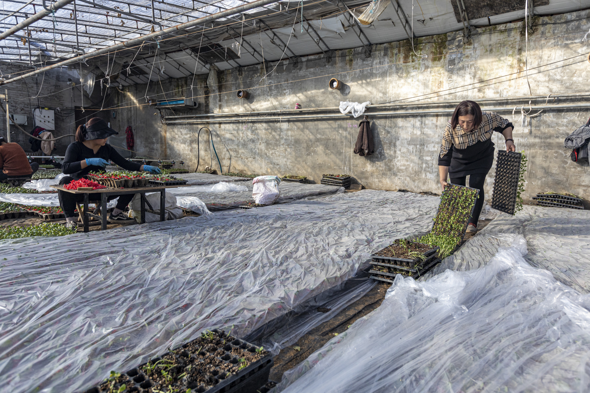 微信图片_20220205192009.jpg 微信图片_20220205192009.jpg