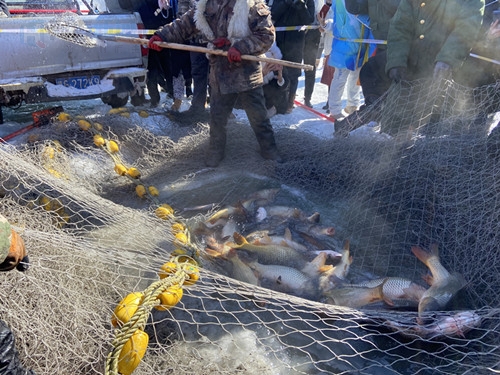 1644217649762846.jpg 大鱼出网.jpg