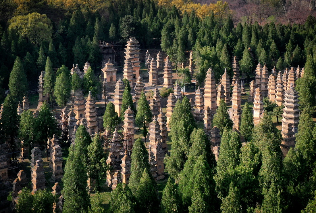 这是登封“天地之中”历史建筑群中的少林寺塔林（4月7日摄，无人机照片）。