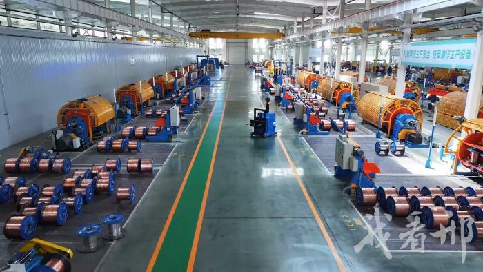 微信图片_20251028195521