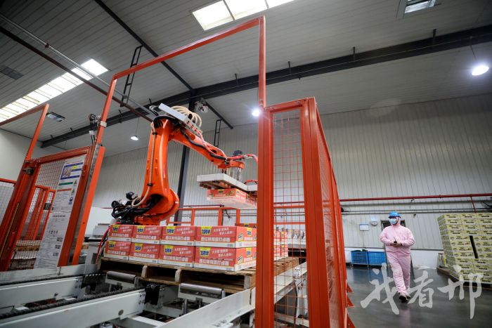 今麦郎食品股份有限公司车间。成梅摄